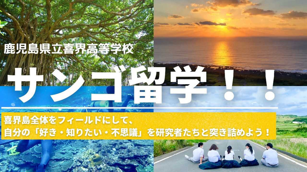 鹿児島県喜界町初のふるさと納税制度を活用したガバメントクラウドファンディングに挑戦中！ サンゴ留学の学生と島民が交流する施設を整備し地域活性化へ