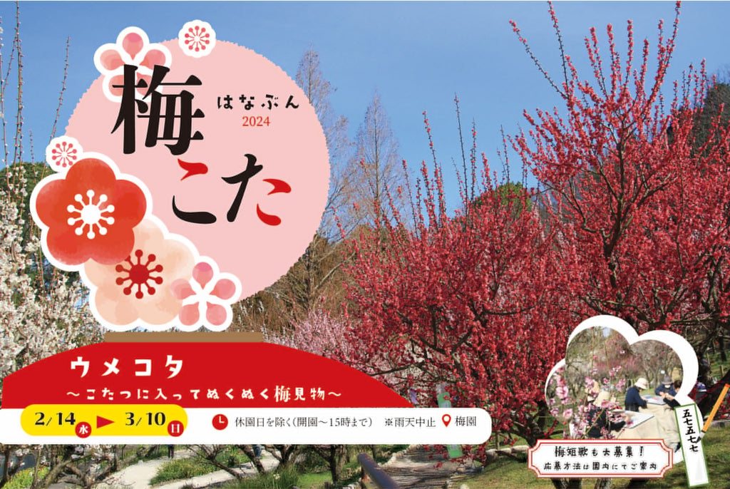 コタツに入ってぬくぬく梅見物！梅コタ2024開催 ～約90品種、340本の梅が開花します～